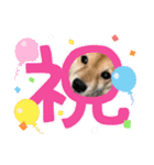 りーたまがえる（個別スタンプ：13）
