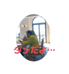 ポールのゴルフ（個別スタンプ：13）