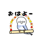 かわいい 青色インコスタンプ（個別スタンプ：5）