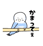 かわいい 青色インコスタンプ（個別スタンプ：11）