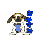 うちのうさちゃんず（個別スタンプ：2）
