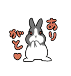 うちのうさちゃんず（個別スタンプ：3）