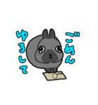うちのうさちゃんず（個別スタンプ：4）