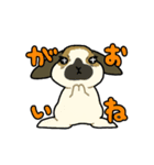 うちのうさちゃんず（個別スタンプ：5）