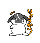 うちのうさちゃんず（個別スタンプ：6）
