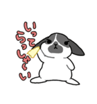 うちのうさちゃんず（個別スタンプ：8）