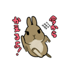 うちのうさちゃんず（個別スタンプ：9）