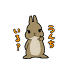 うちのうさちゃんず（個別スタンプ：11）