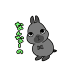 うちのうさちゃんず（個別スタンプ：12）