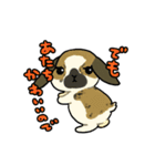 うちのうさちゃんず（個別スタンプ：15）
