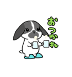 うちのうさちゃんず（個別スタンプ：16）