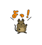 うちのうさちゃんず（個別スタンプ：21）