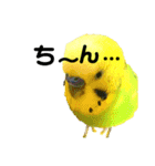 ピピ君の日常（セキセイインコ）（個別スタンプ：3）