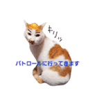 ボクは可愛いはず。（個別スタンプ：5）