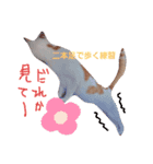 ボクは可愛いはず。（個別スタンプ：6）