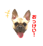 柚と大吉の一言（個別スタンプ：5）