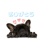 柚と大吉の一言（個別スタンプ：6）