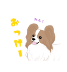 毎日使えるパピヨン犬スタンプ2（個別スタンプ：26）