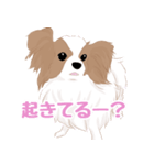 毎日使えるパピヨン犬スタンプ2（個別スタンプ：34）