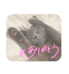ぶる2.（個別スタンプ：3）