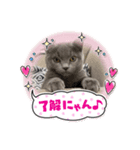 ぶる2.（個別スタンプ：5）