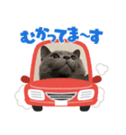 ぶる2.（個別スタンプ：8）
