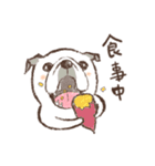 あん太はパグ犬（個別スタンプ：19）