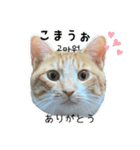 かんたん韓国語（個別スタンプ：3）