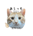かんたん韓国語（個別スタンプ：5）