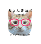 かんたん韓国語（個別スタンプ：6）