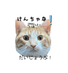 かんたん韓国語（個別スタンプ：7）