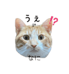 かんたん韓国語（個別スタンプ：13）