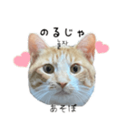 かんたん韓国語（個別スタンプ：20）