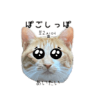 かんたん韓国語（個別スタンプ：22）