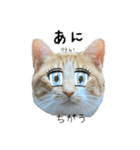 かんたん韓国語（個別スタンプ：30）
