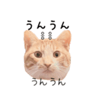 かんたん韓国語（個別スタンプ：31）