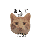 かんたん韓国語（個別スタンプ：32）