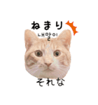 かんたん韓国語（個別スタンプ：35）
