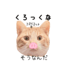 かんたん韓国語（個別スタンプ：37）