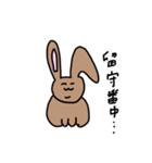 うさぎさんのエブリデイ2（個別スタンプ：23）