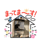 にゃるそっく11（個別スタンプ：22）