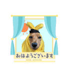 フジアースフィールド（個別スタンプ：1）