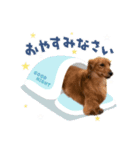 フジアースフィールド（個別スタンプ：2）