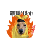 フジアースフィールド（個別スタンプ：5）