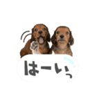 フジアースフィールド（個別スタンプ：6）