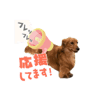 フジアースフィールド（個別スタンプ：7）