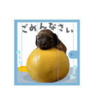 フジアースフィールド（個別スタンプ：8）