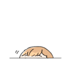 かわいいむすめ達スタンプ（個別スタンプ：17）