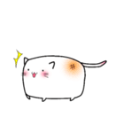 しろいもちねこ。2（個別スタンプ：1）