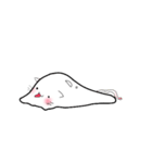 しろいもちねこ。2（個別スタンプ：3）